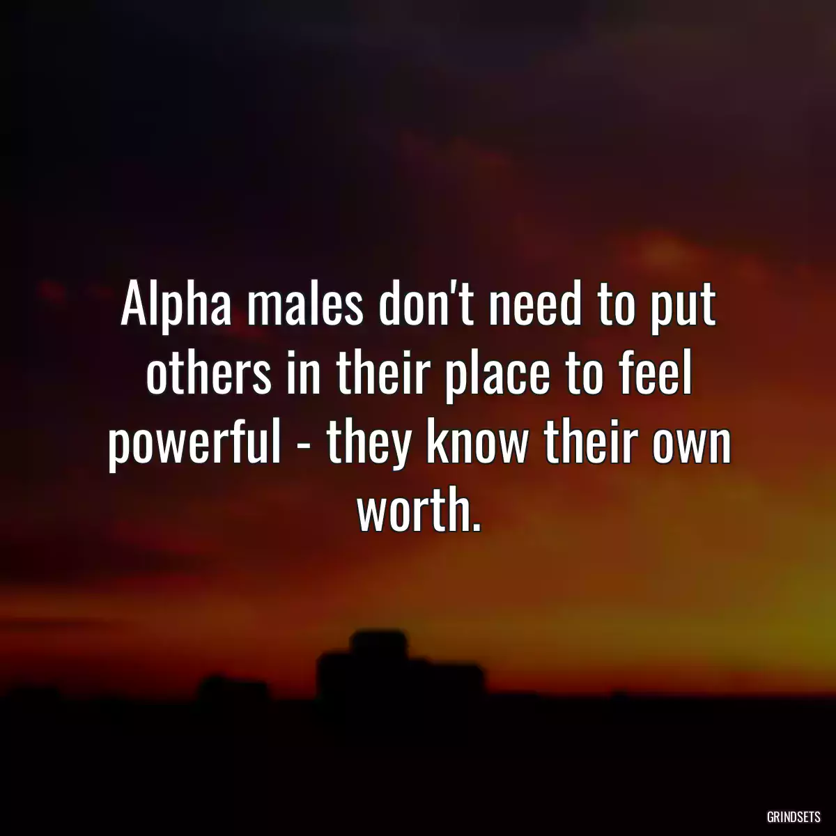 Alpha males don\'t need to put others in their place to feel powerful - they know their own worth.