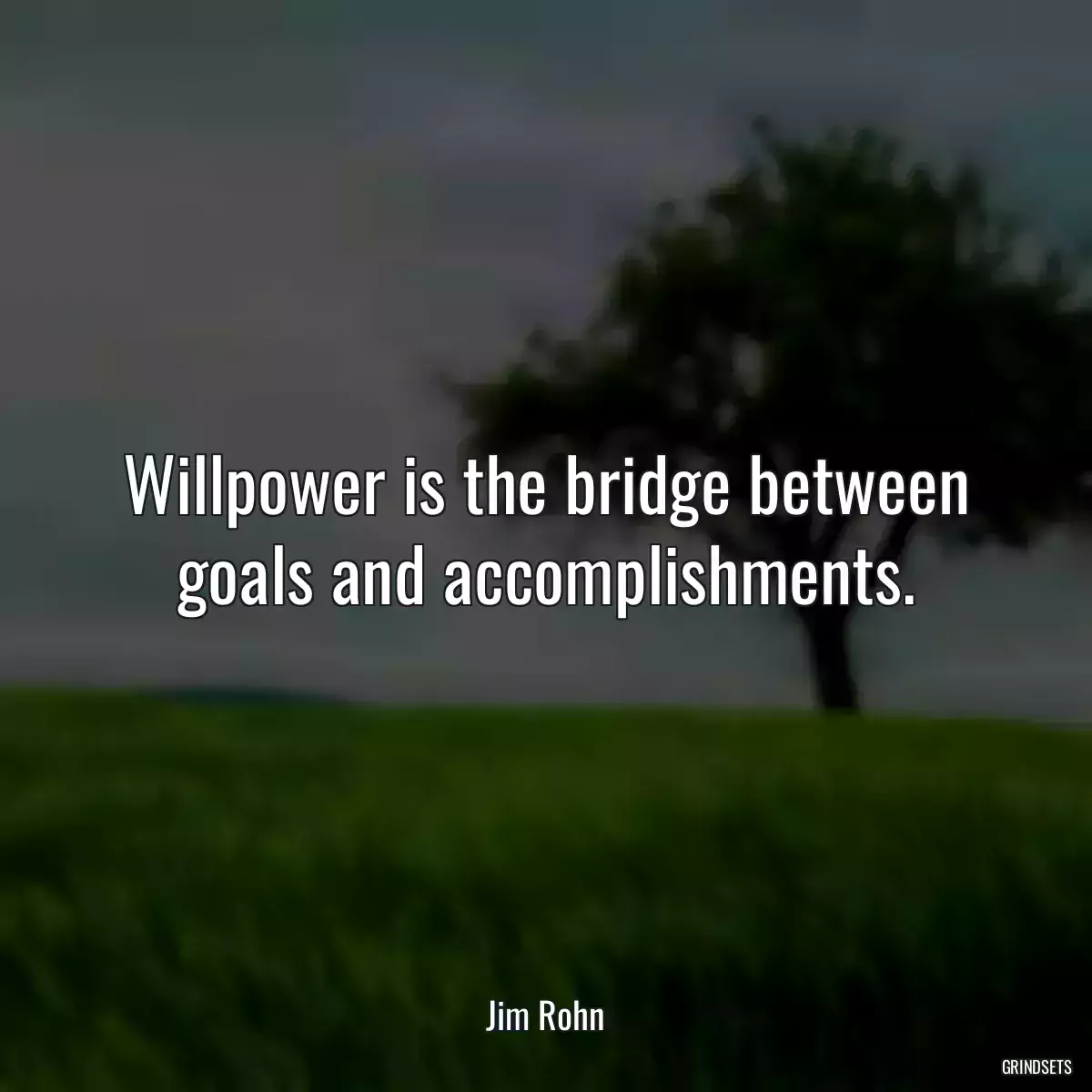 Willpower is the bridge between goals and accomplishments.