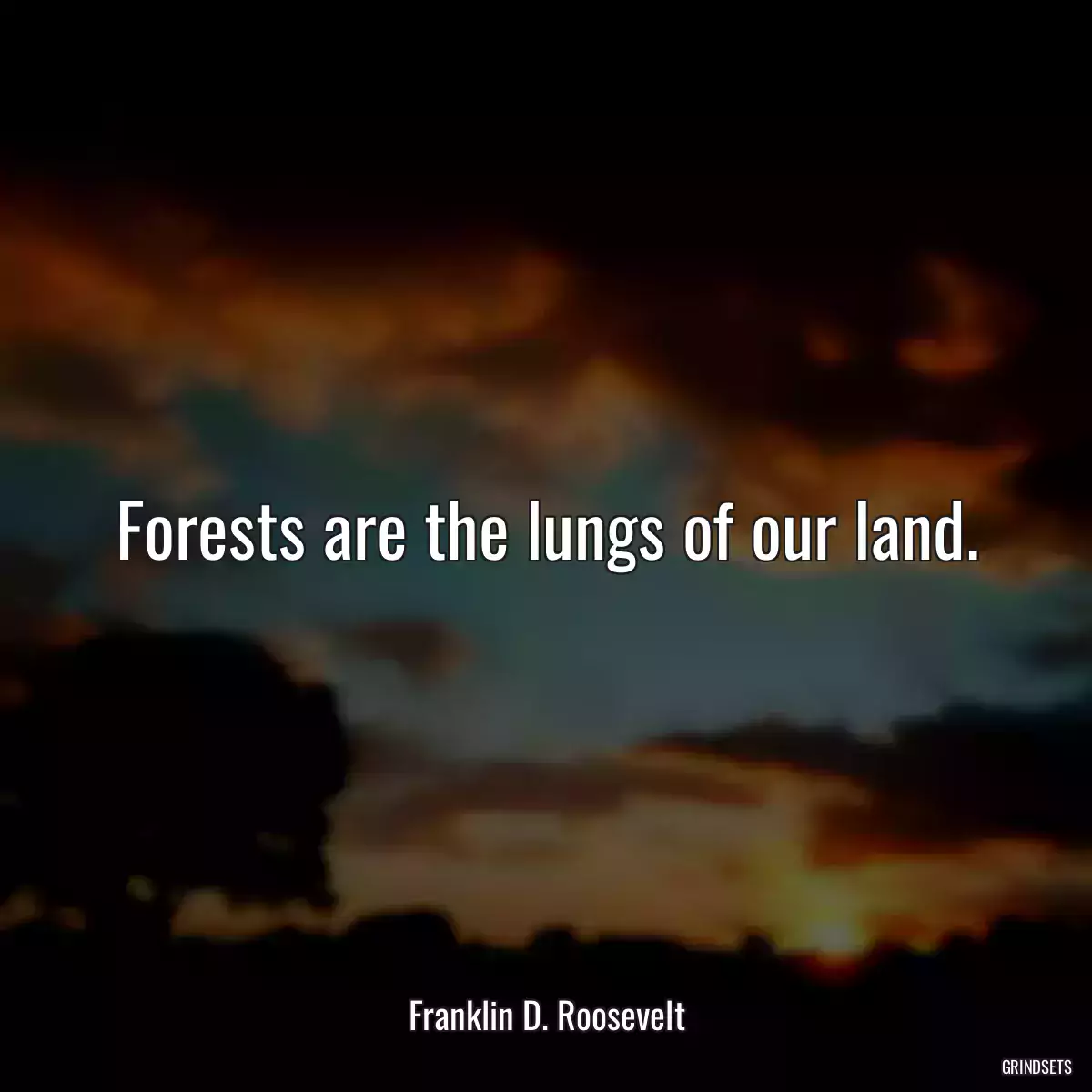 Forests are the lungs of our land.